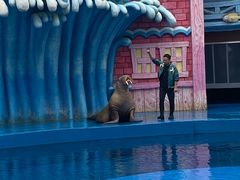 -华夏文旅海洋公园