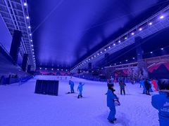 -世界之窗阿尔卑斯冰雪世界