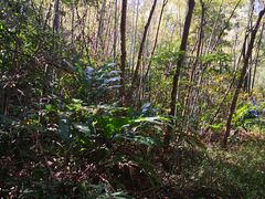 -福清灵石山国家森林公园