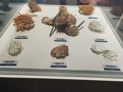 -陕西自然博物馆