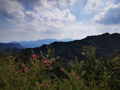 -大岭沟猕猴桃谷风景区