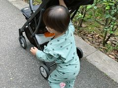 -晓港公园