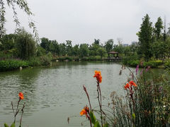 android_upload_pic-苏州金鸡湖大酒店