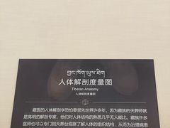 -青海藏文化博物院