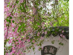 -深圳国际园林花卉博览园