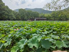 -兰亭风景区
