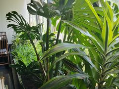 -太守宴·蘭院(天塔店)