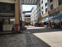 -三亚新鸿港水果一级批发市场