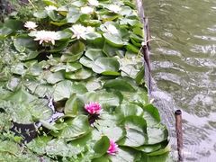 -上海怡沁园度假酒店