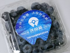 -果多美(三里河店)
