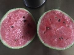 -庞各庄翠芳园西瓜蔬菜基地采摘园