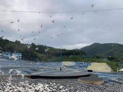 -瓷天下海丝谷