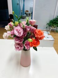 -维纳斯专业减肥