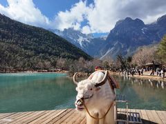 -玉龙雪山蓝月谷
