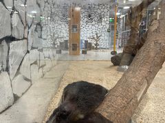 -海合安武汉极地海洋公园