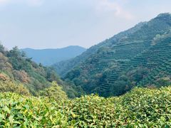 -西湖风景区十里琅珰-五云山