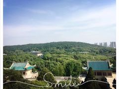 -武汉大学-樱园