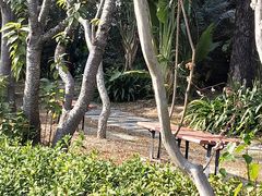 -红花湖景区