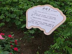 -长春农业博览园