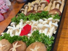 -慢丽江·云南野生菌土鸡锅(付家庄店)