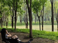 -东郊湿地公园