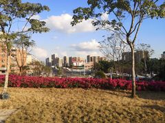 -红花山公园