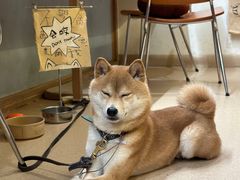 -三目仓咖啡(贤南路店)