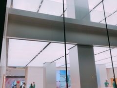 -Apple零售店(玄武湖店)