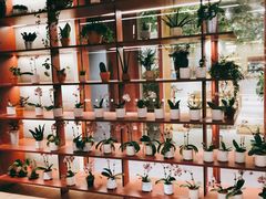 -二酉书店TOYOU BOOKS