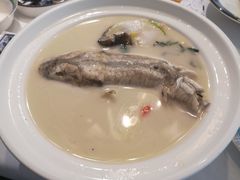养颜白汁河豚-肆月河豚·新淮扬(金融街店)