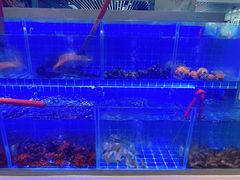 -厦门宝龙铂尔曼大酒店·海鲜自助餐厅