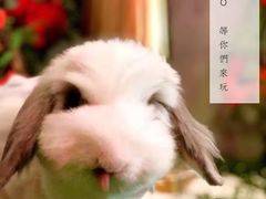 -JOJO实景沉浸侦探剧本杀(大悦城店)