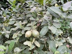 -南通洲际绿博园