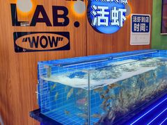 -0048鲜活香辣虾·火锅(铜陵路店)