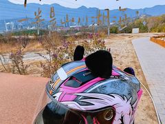 -白水寺森林公园