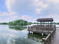 -上海市保健医疗中心(华东疗养院)