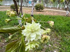 -白塘生态植物园
