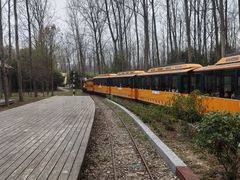 -合肥滨湖国家森林公园