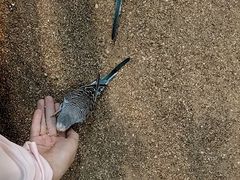 -天津zoonly动物主题公园