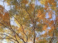-白塘生态植物园