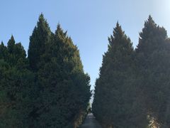 -秦始皇帝陵博物院-丽山园