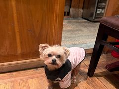 -萨拉伯尔(燕莎友谊商城店)