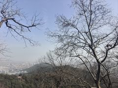 -灵顺寺