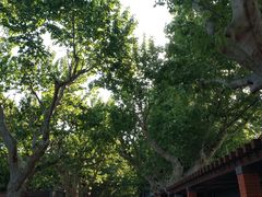 -上海孙中山故居纪念馆