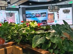 -洞庭家宴·头牌甲鱼(广渠门店)