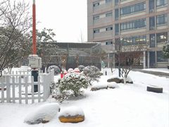 -金陵中学(河西分校)