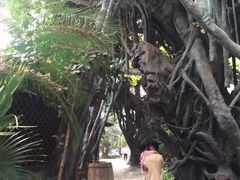 -龙达温泉生态城