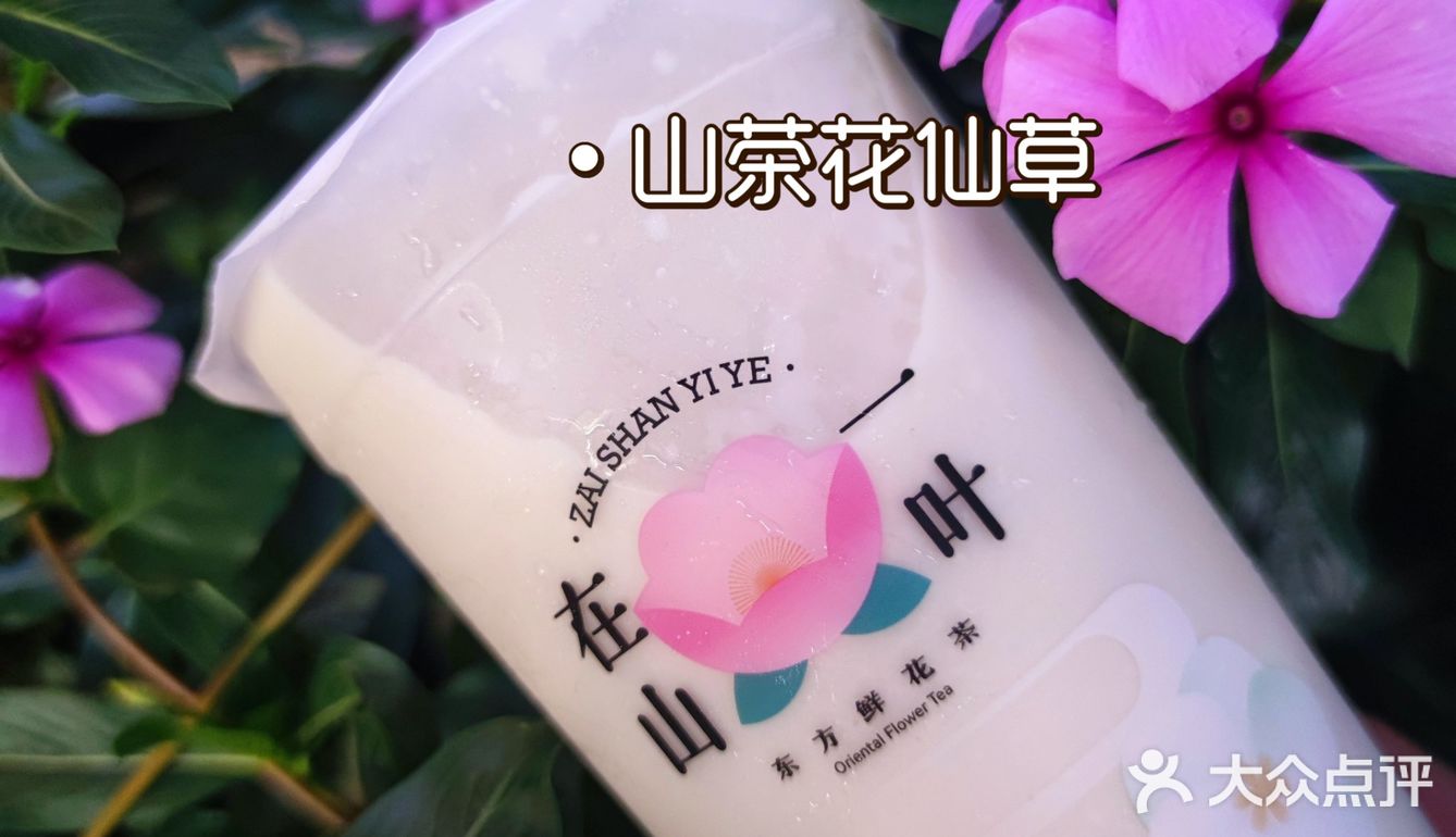 山茶花系列，在山⛰️一叶·东方鲜花茶🍵饮与昆明的故事