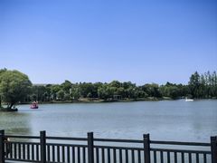 -上海长兴岛郊野公园