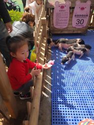 -萌宠亲子动物乐园(槐房万达店)